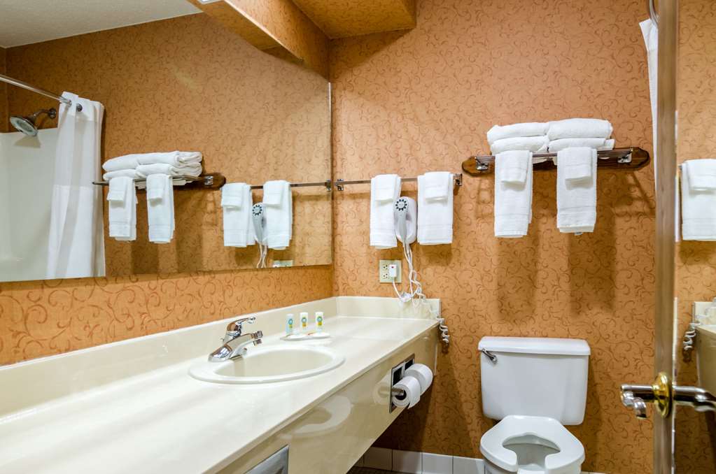 Quality Inn Eureka Springs South - photo 39