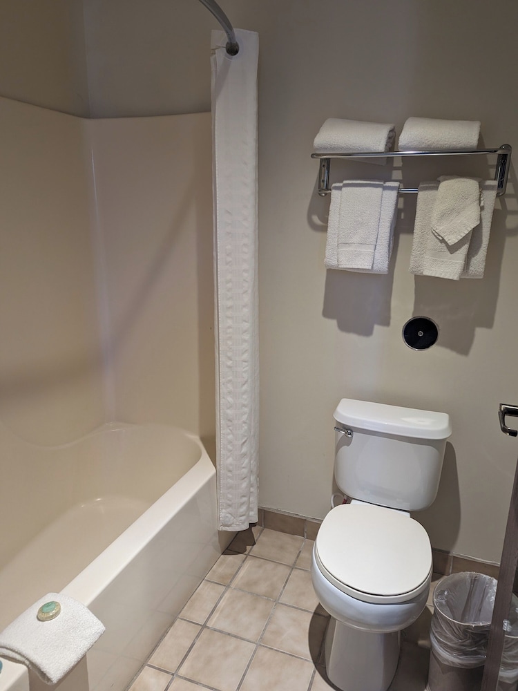 Sagebrush Inn & Suites - photo 75