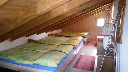 Berggasthaus Arviblick pet-friendly hotel Dallenwil