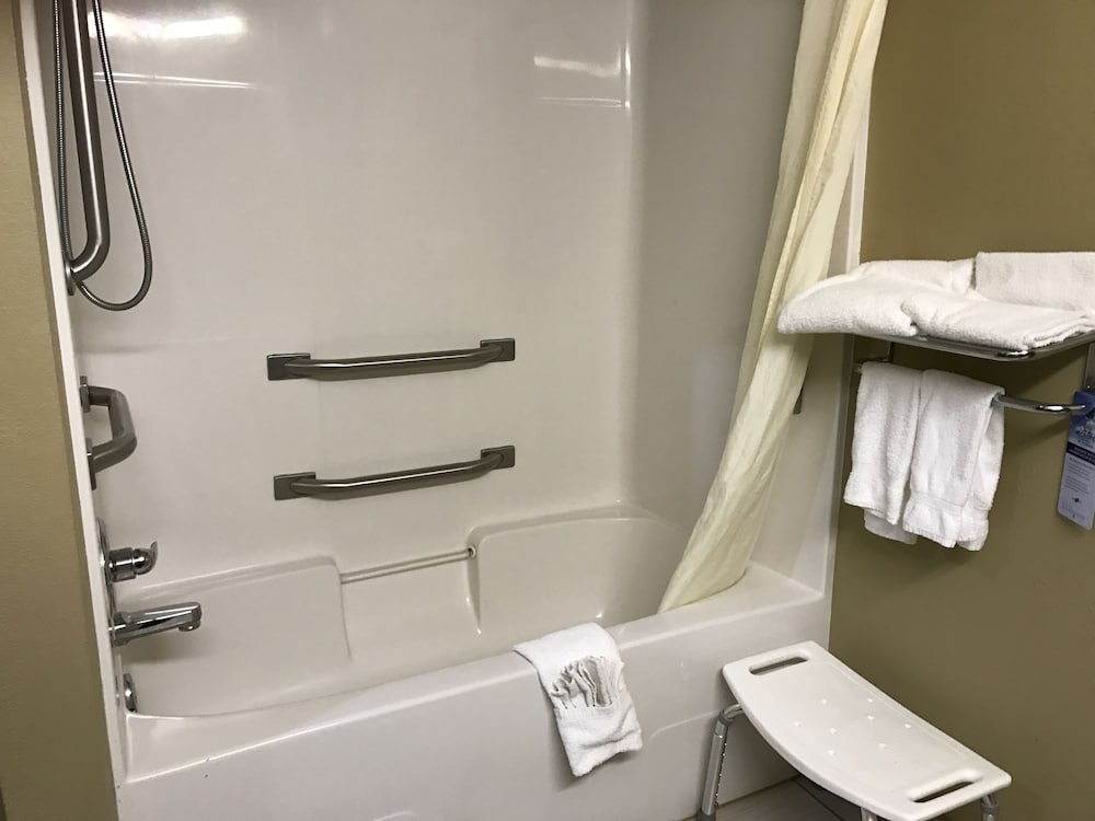 Microtel Inn & Suites by Wyndham Lithonia Stone Mountain - photo 28