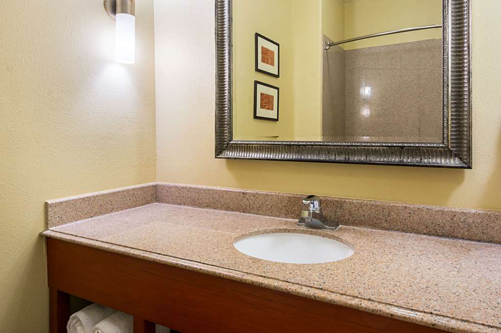 Comfort Suites Lake Charles - photo 10