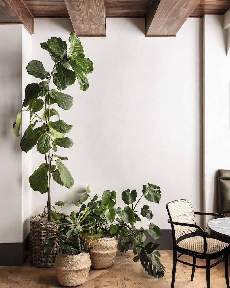 Roost Rittenhouse - photo 5