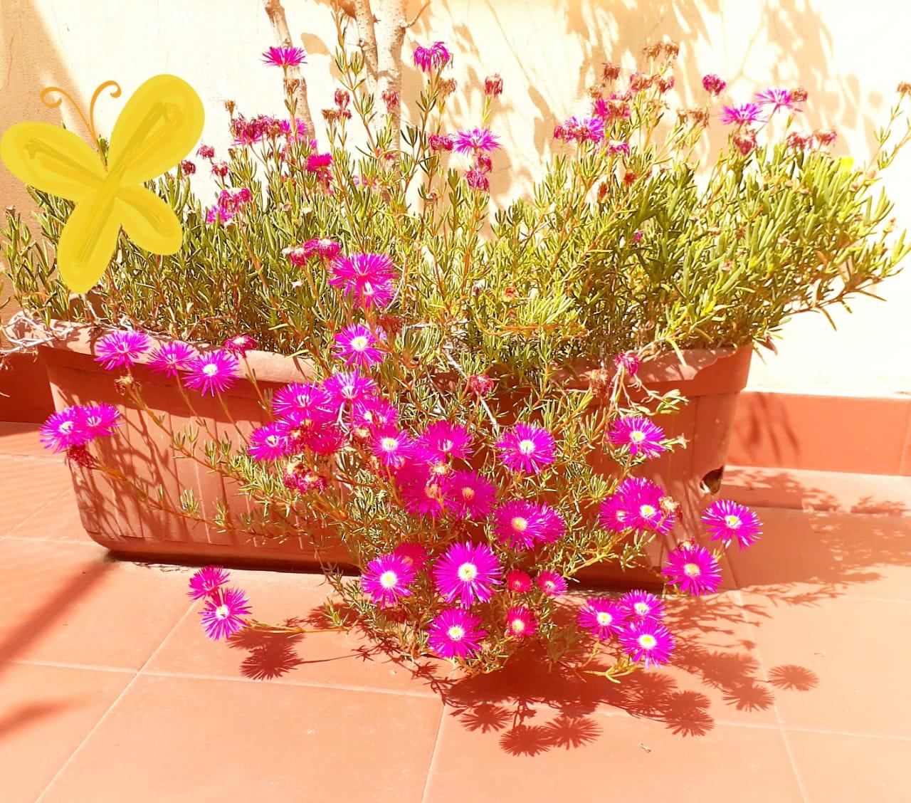 Luey Hotel in Mendoza, Argentina