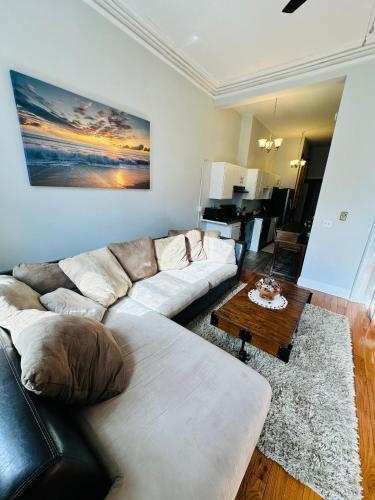 Charming Spacious Apartment Downtown Albany