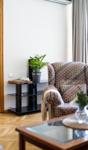 Kiwi Apartment
