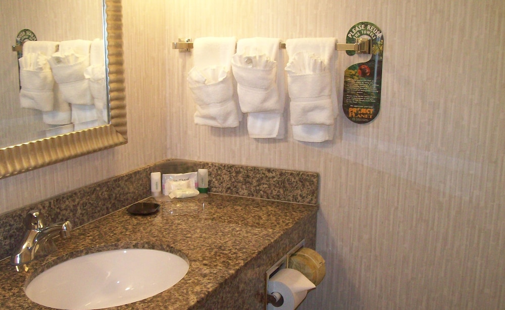 Holiday Inn Rock Springs by IHG - photo 30