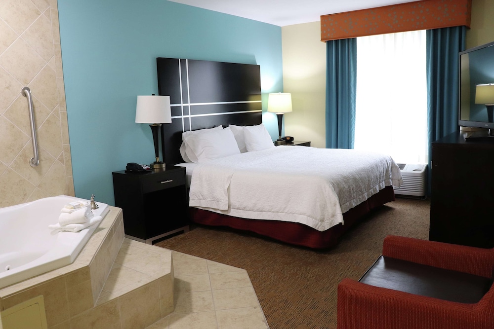 Hampton Inn Austin Oak Hill - photo 30