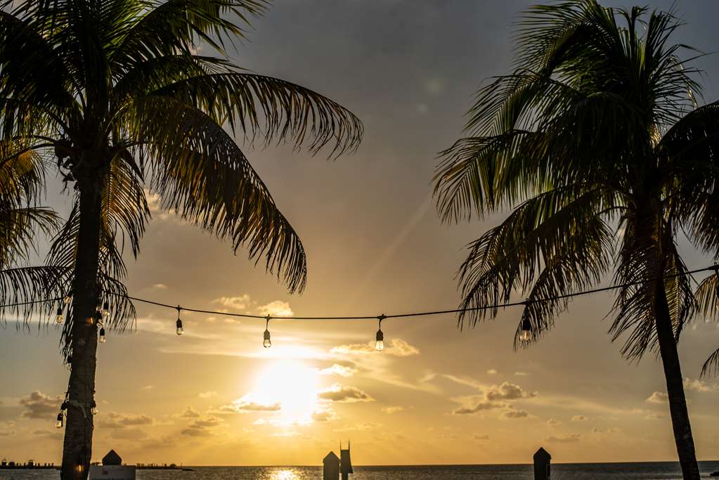 Banana Bay Resort & Marina - photo 22