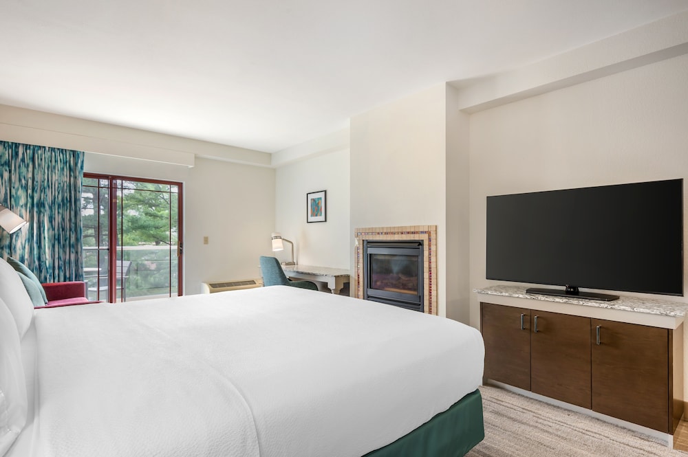 Hilton Garden Inn Wisconsin Dells - photo 18