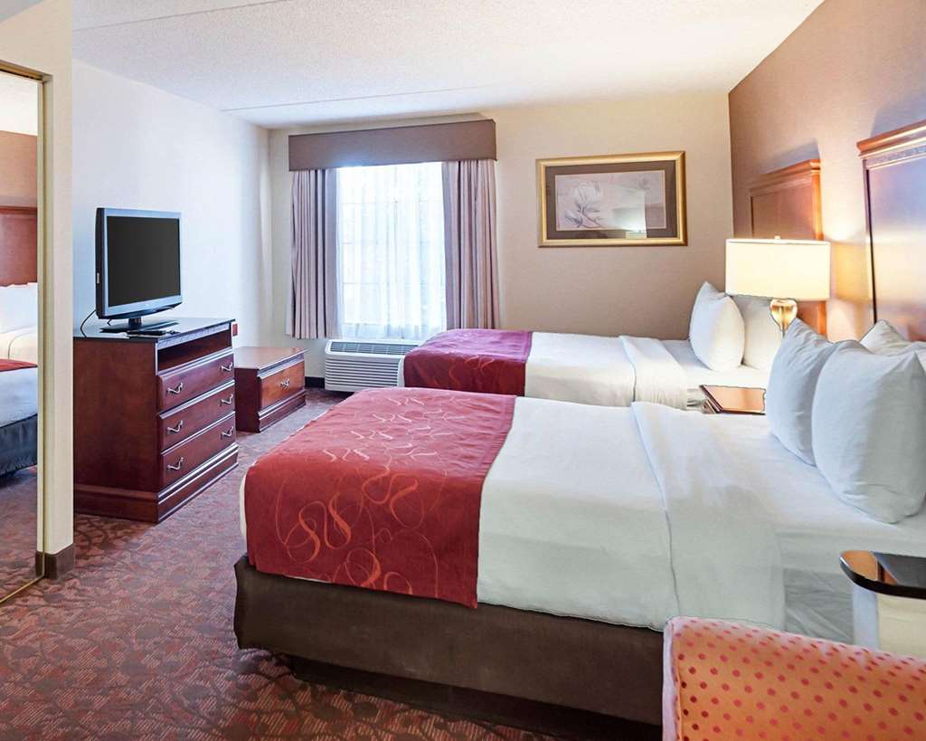 Comfort Suites Dulles Airport - photo 9