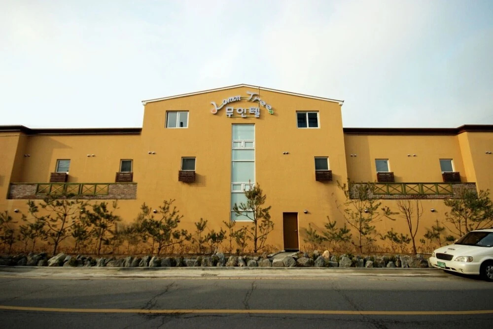 Gunsan Lemon Tree in Gunsan, South Korea