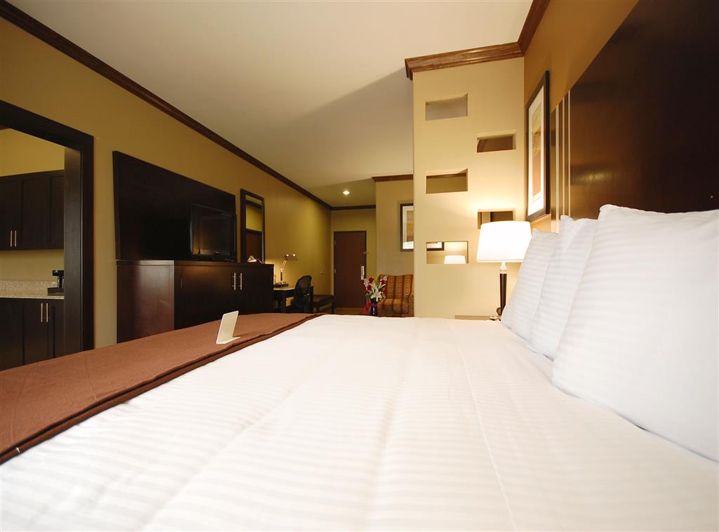 Best Western Plus Texoma Hotel & Suites - photo 28