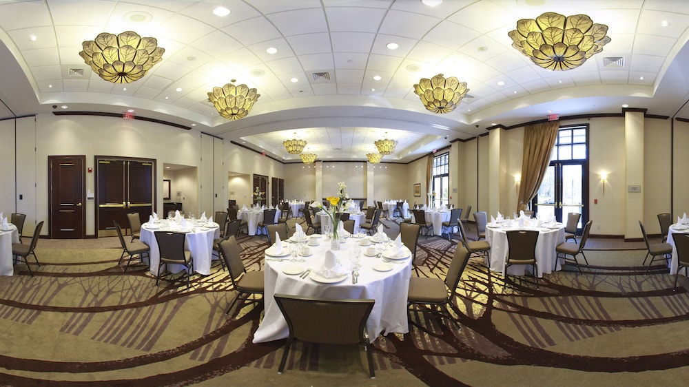 Embassy Suites by Hilton Savannah Airport - photo 63