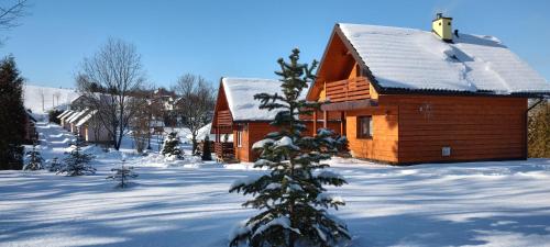 Arquebuse Proche Gare - carbon neutral hotel in Dijon