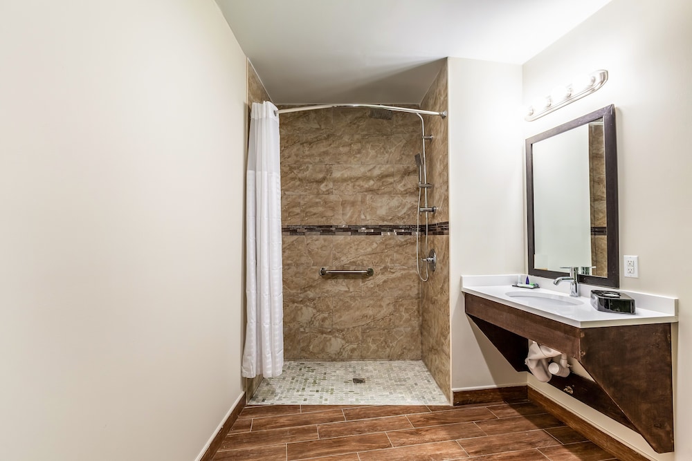 Van Wyck Hotel & Suites Near JFK Airport - photo 26