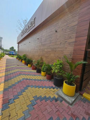 The Sacred Knot in Balasore, India