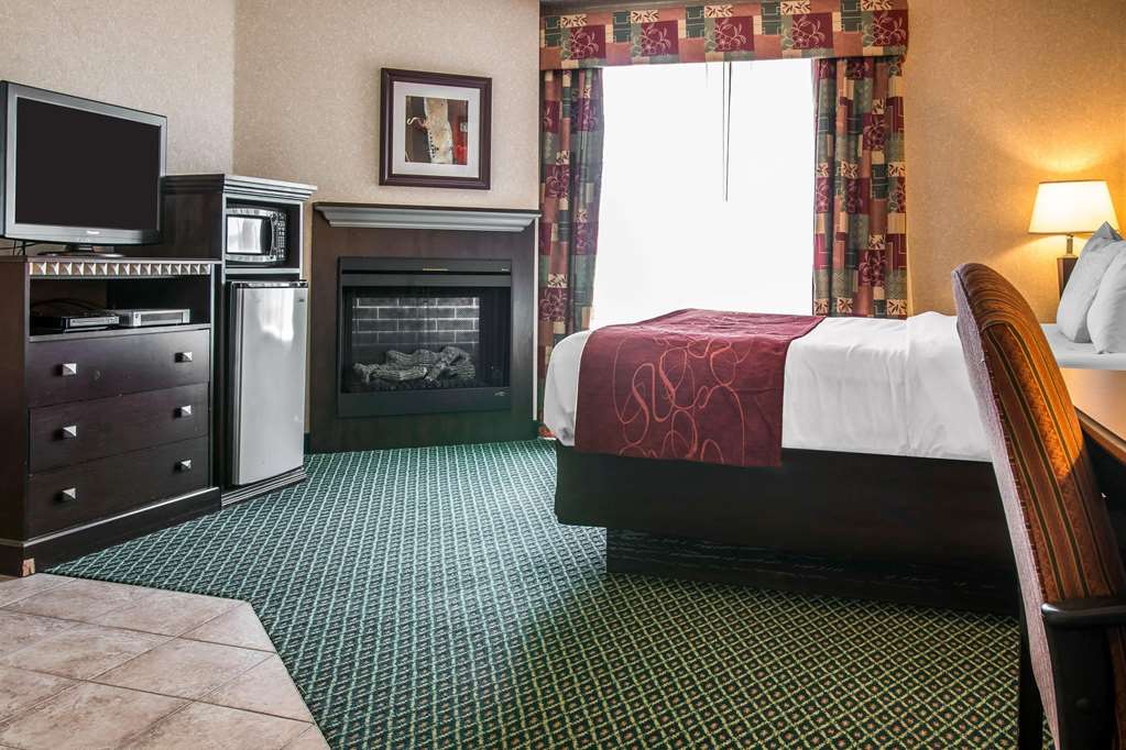 Comfort Suites Canton Detroit - photo 7