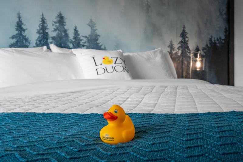 The Lazy Duck Inn - photo 103