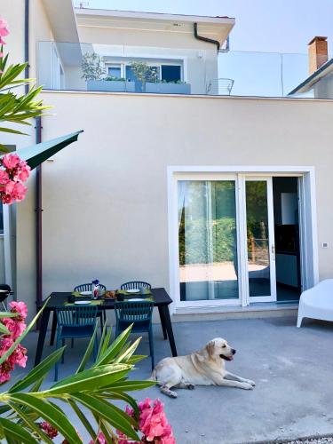 Le Nasse — 4-Star Luxury Hotel in Fano, Italy