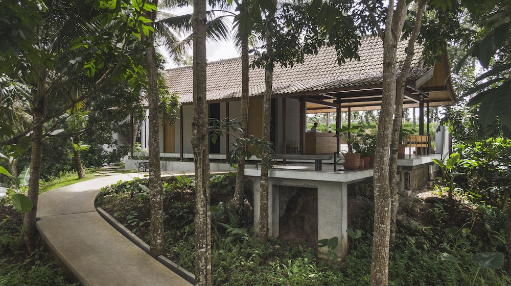 Lintang Luku Tent Resort Ijen Banyuwangi — Banyuwangi — photo 3
