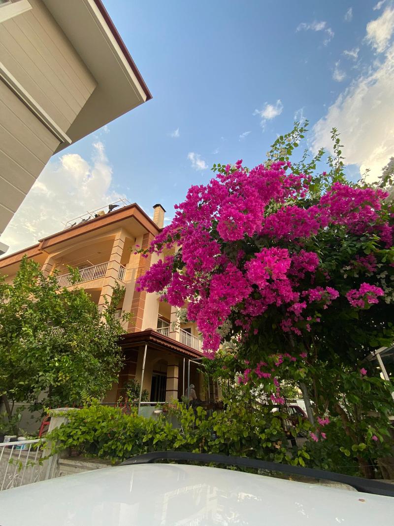 Tanaydin Evleri - carbon neutral hotel in Fethiye