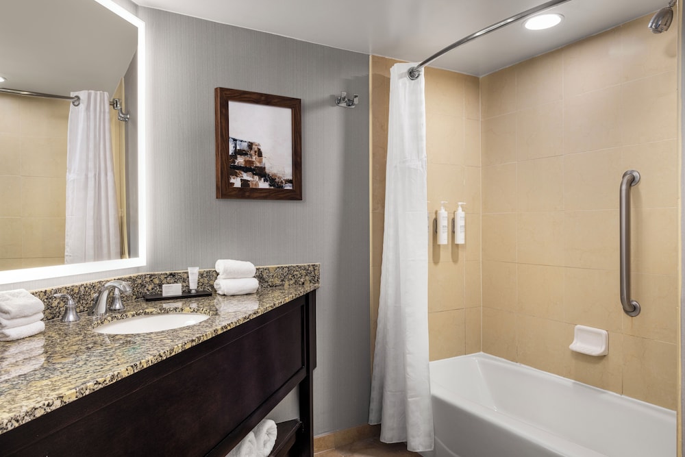 Embassy Suites Hotel Birmingham - photo 23