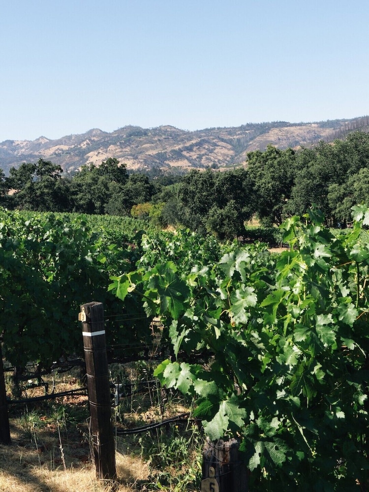 Le Petit Pali St. Helena - photo 56