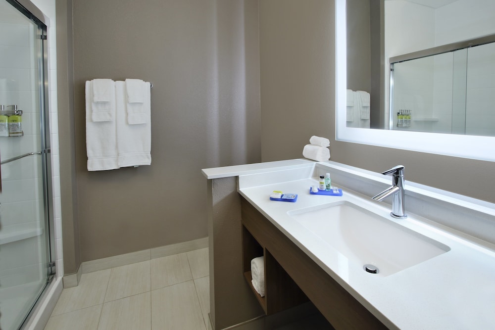 Holiday Inn Express & Suites Dallas Frisco NW Toyota Stdm by IHG - photo 18
