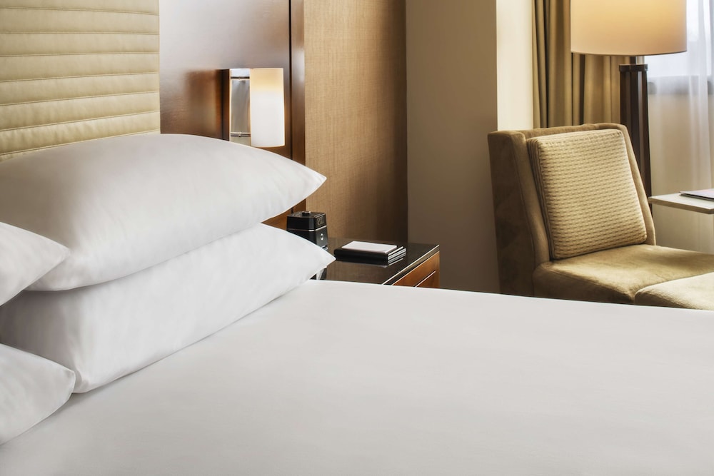 Hyatt Regency O'Hare Chicago - photo 19