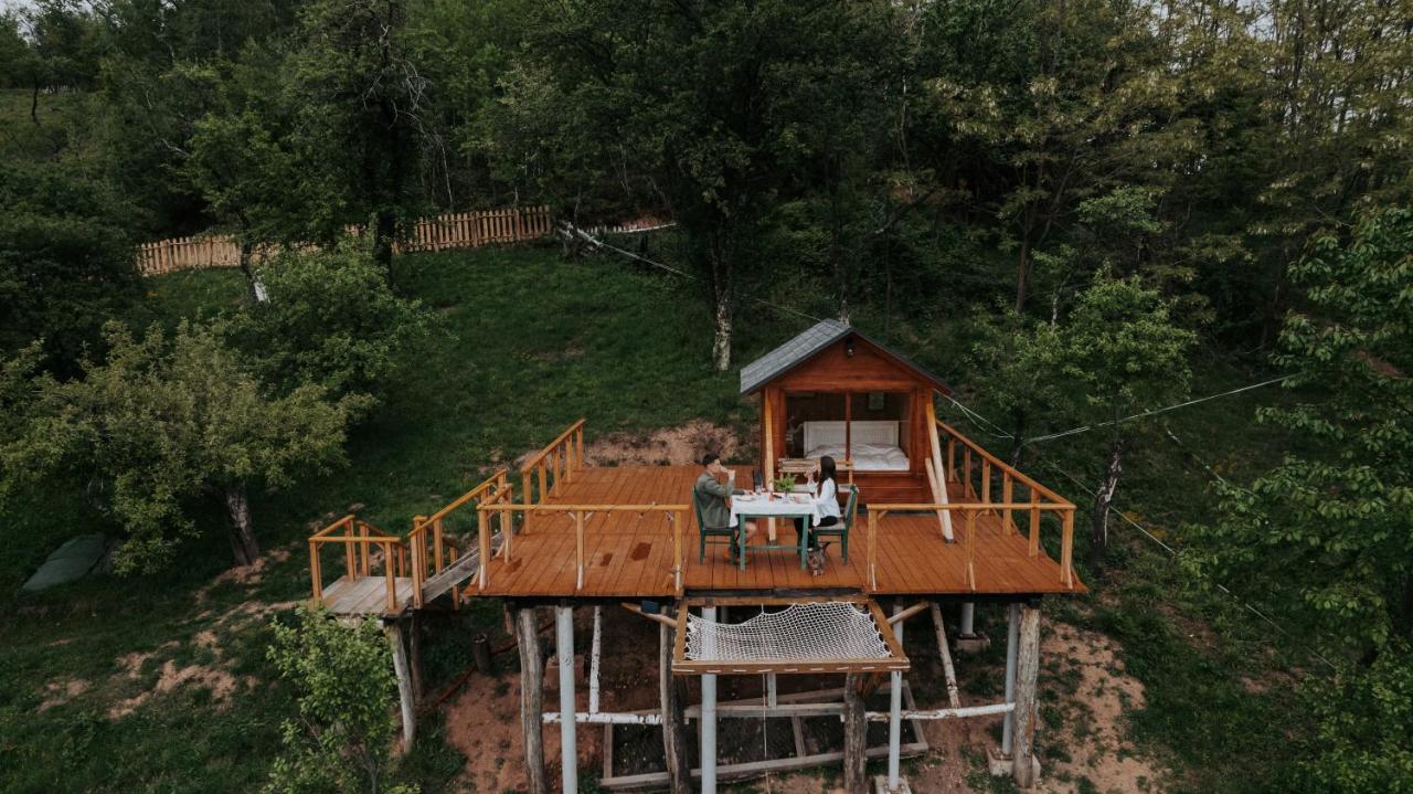 Cioclovina Tribe - last minute hotel in Unknown City