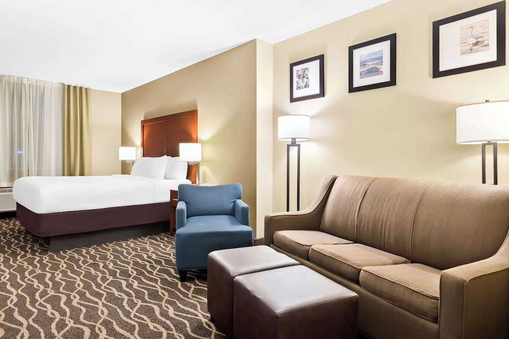 Comfort Suites Tampa Airport North - photo 13
