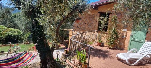La Merla del Tasso — Camaiore — photo 2