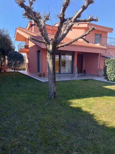 House of Arts — 4-Star Luxury Hotel in Trikala, Greece