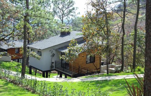 Ciervo Corzuela in Mazamitla, Mexico