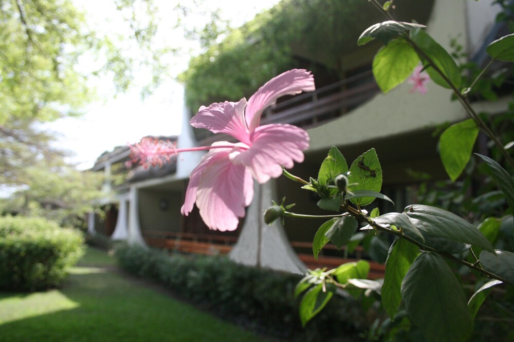 Hotel Club Du Lac Tanganyika — Bujumbura