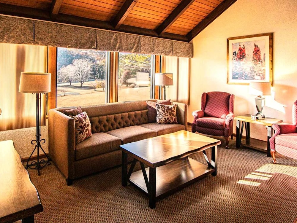 Mountain Loft Resort - photo 8
