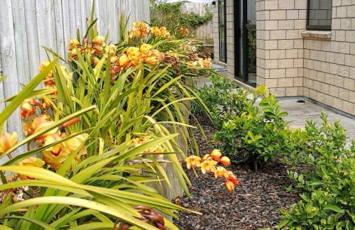 W&M Orchid House — 4-Star Luxury Hotel in Auckland, New Zealand