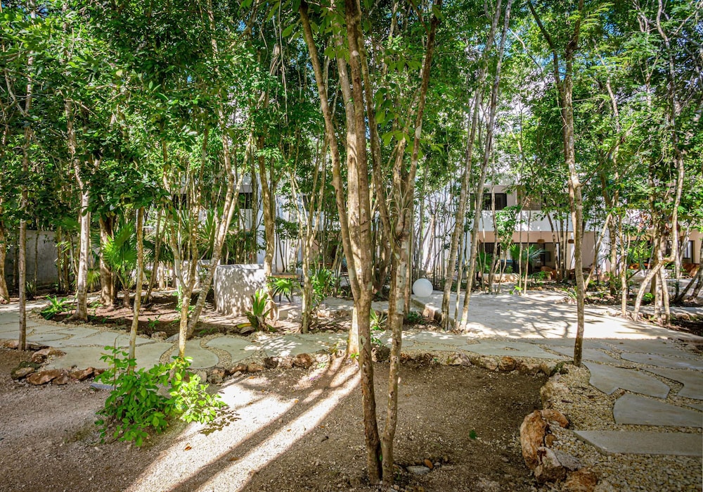 Villa Balamku Resort Pool AC Fast Internet — Bacalar — photo 2