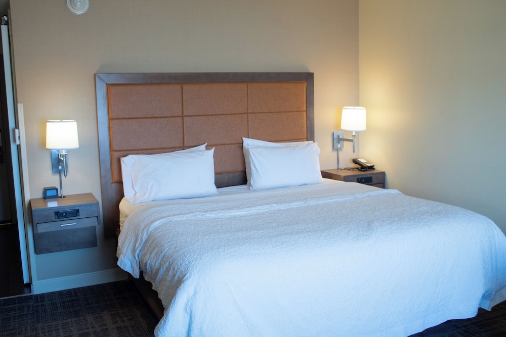 Hampton Inn Big Rapids - photo 9