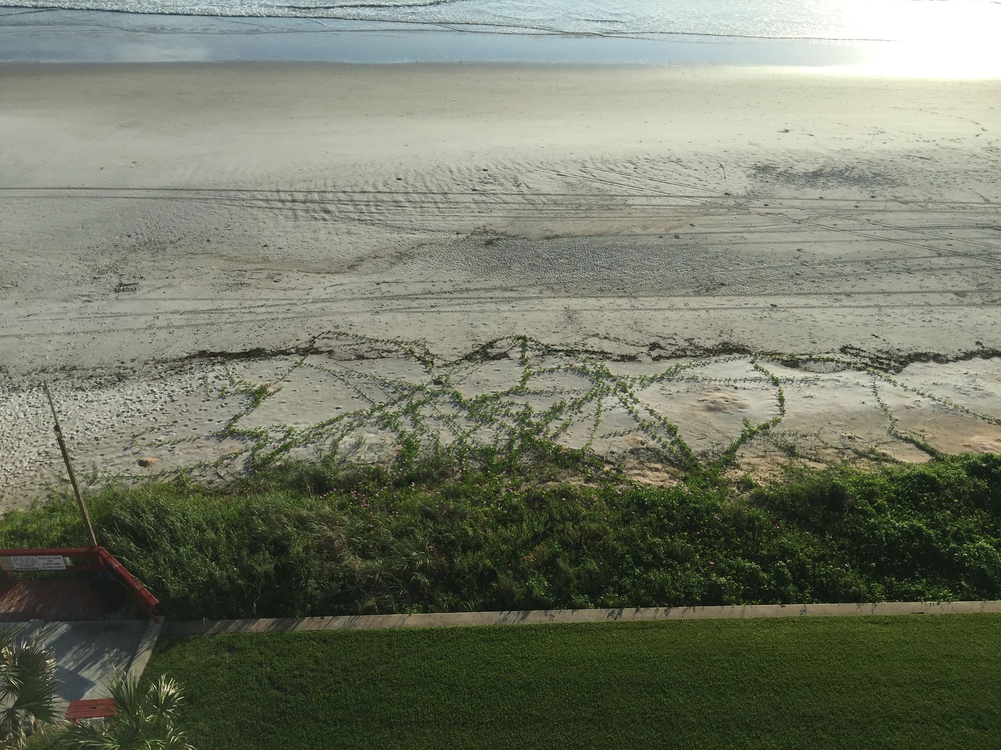 Smyrna Beach Club - photo 31