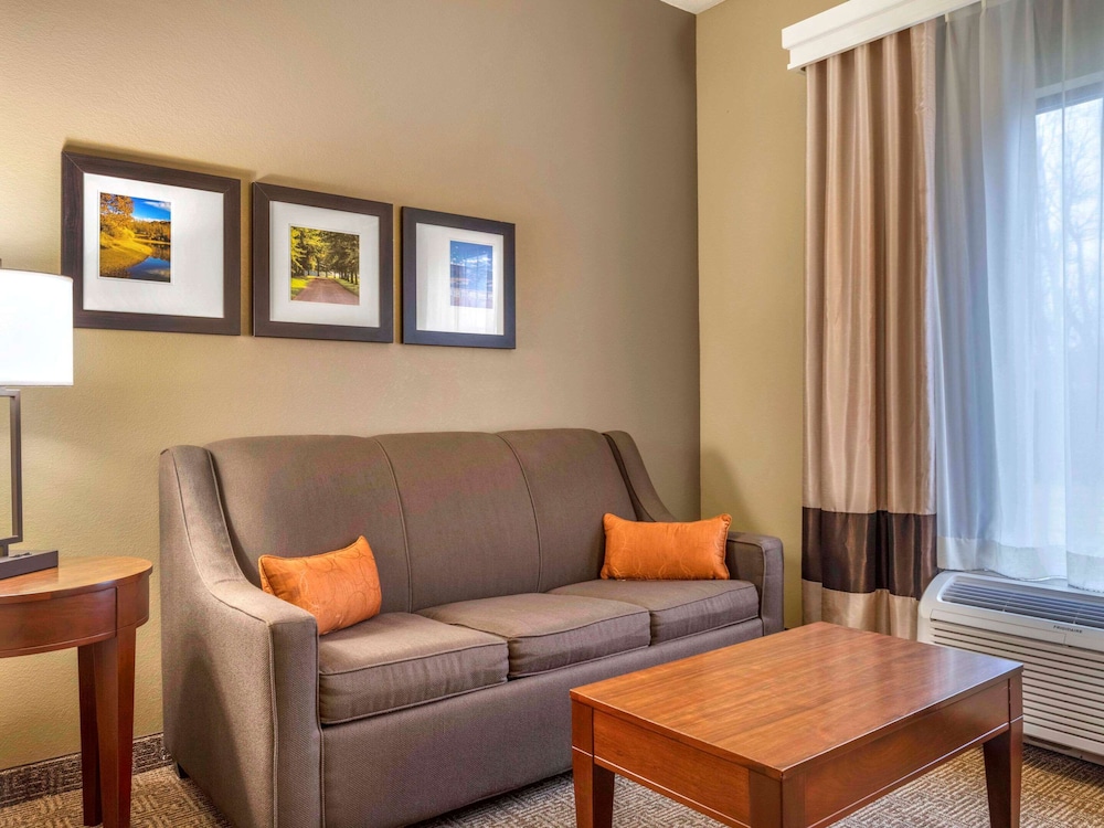 Comfort Inn Duncansville Altoona - photo 13