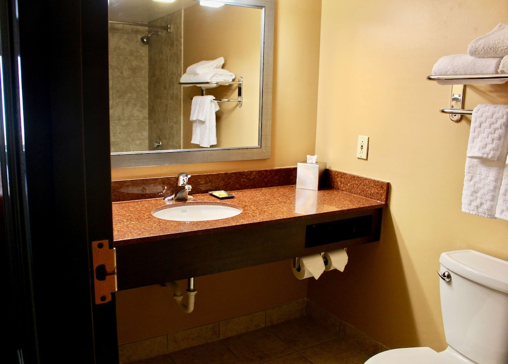 Comfort Inn Eagan Minneapolis St. Paul South - photo 31