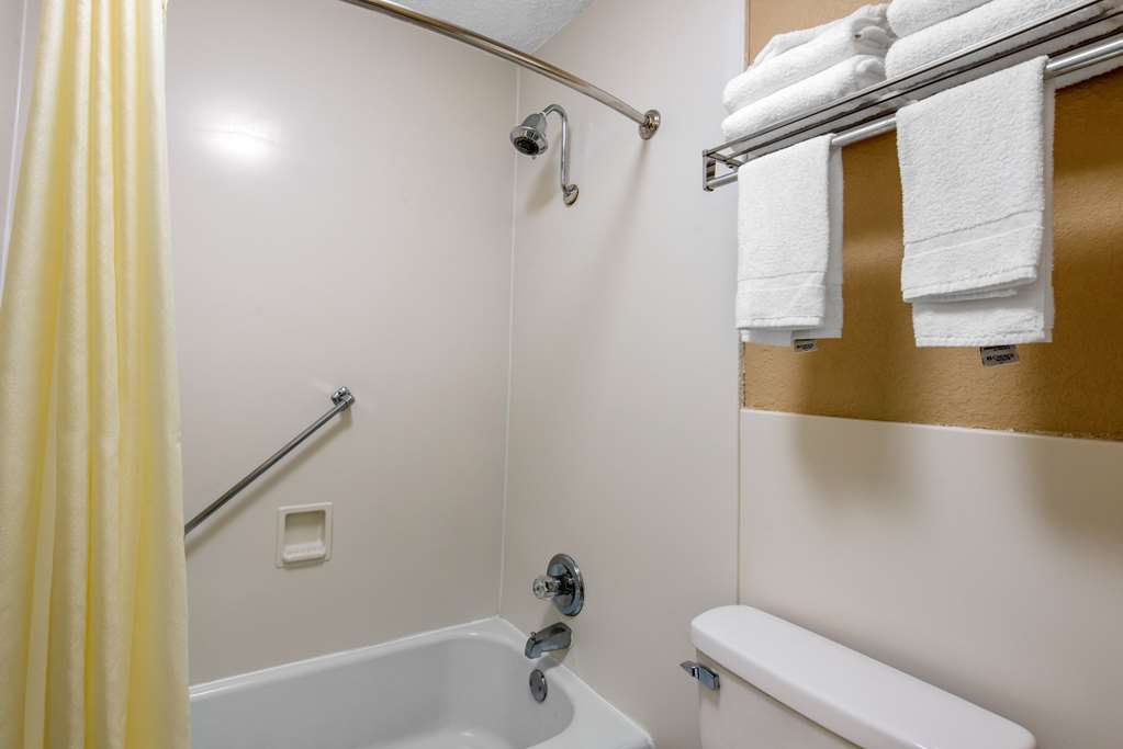 Quality Inn & Suites Brooksville I 75 Dade City - photo 13
