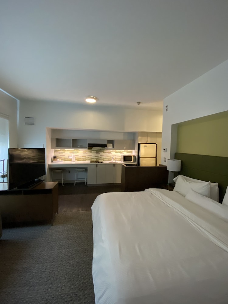 Element Lexington - photo 5