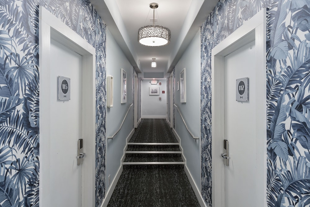 Penguin Hotel - photo 58