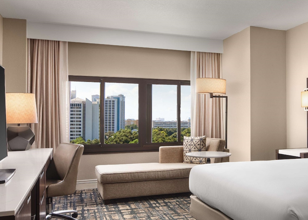 Hilton Orlando Lake Buena Vista Disney Springs Area - photo 11