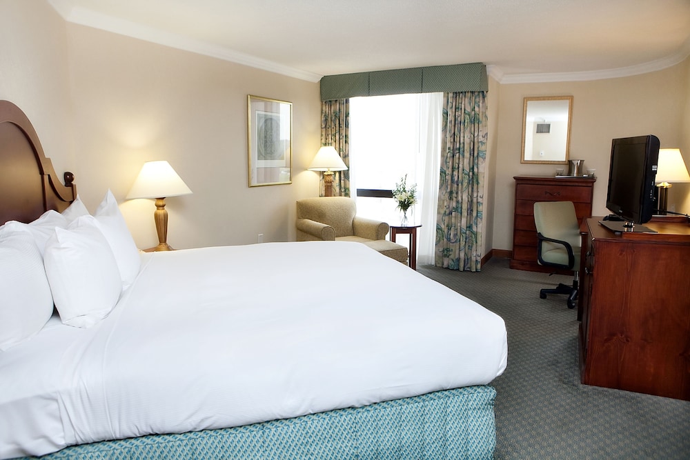 Hilton Greenville - photo 4