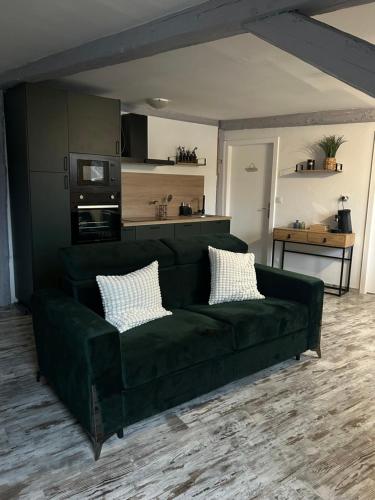 Le Cosy Green Centre Ville — Selestat