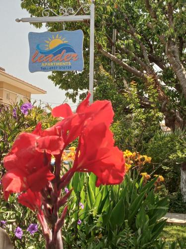Leader - carbon neutral hotel in Mytikas