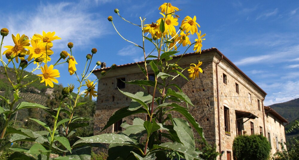 Al Palazzaccio — 4-Star Luxury Hotel in Calci, Italy